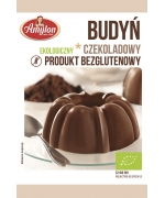 BUDYŃ CZEKOLADOWY BEZGLUTENOWY BIO 40 g - AMYLON