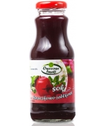 SOK JABŁKOW0 - BURACZKOWY NFC BIO 250 ml - OWOCOWE SMAKI