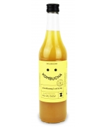 KOMBUCHA Z KURKUMĄ I CYTRYNĄ BEZGLUTENOWA BIO 500 ml - ZAKWASOWNIA