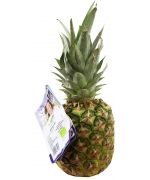 ANANAS ŚWIEŻY BIO (około 0,80 kg)