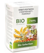 HERBATKA ROKITNIKOWA Z DODATKIEM MIĘTY I POMARAŃCZY BIO (20 x 1,8 g) 36 g - APOTHEKE