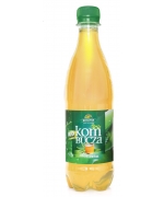 KOMBUCHA HERBATA ZIELONA Z ALOE VERA BIO 500 ml - BIO LINIE