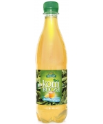 KOMBUCHA HERBATA ZIELONA Z CYTRYNĄ BIO 500 ml - BIO LINIE