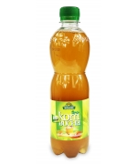 KOMBUCHA HERBATA ZIELONA BIO 500 ml - BIO LINIE